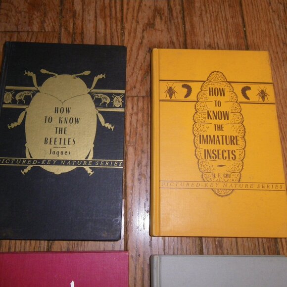 6 Vintage 1940's-50's Pictured-Key Nature Series Hardback Textbooks How to Know - Picture 3 of 7